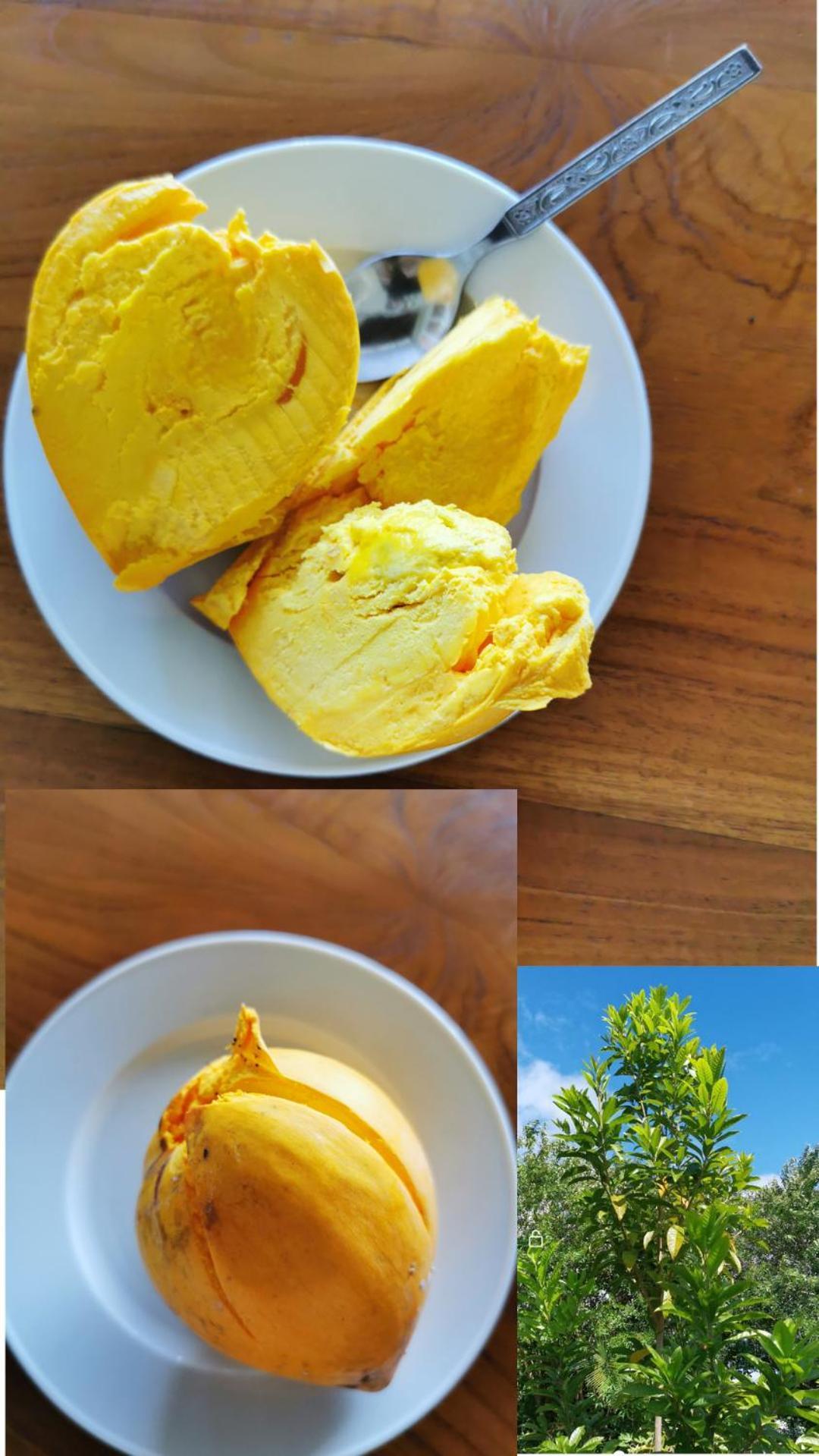 Chez Lauret, A La Montagne 빌라 외부 사진